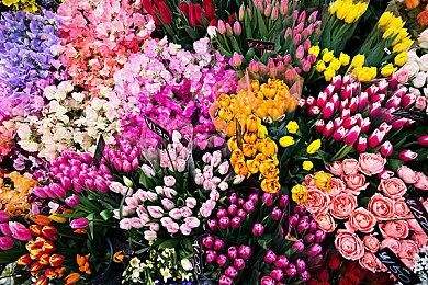 《万圣节万圣节万圣节》steam页面上线 本月发售